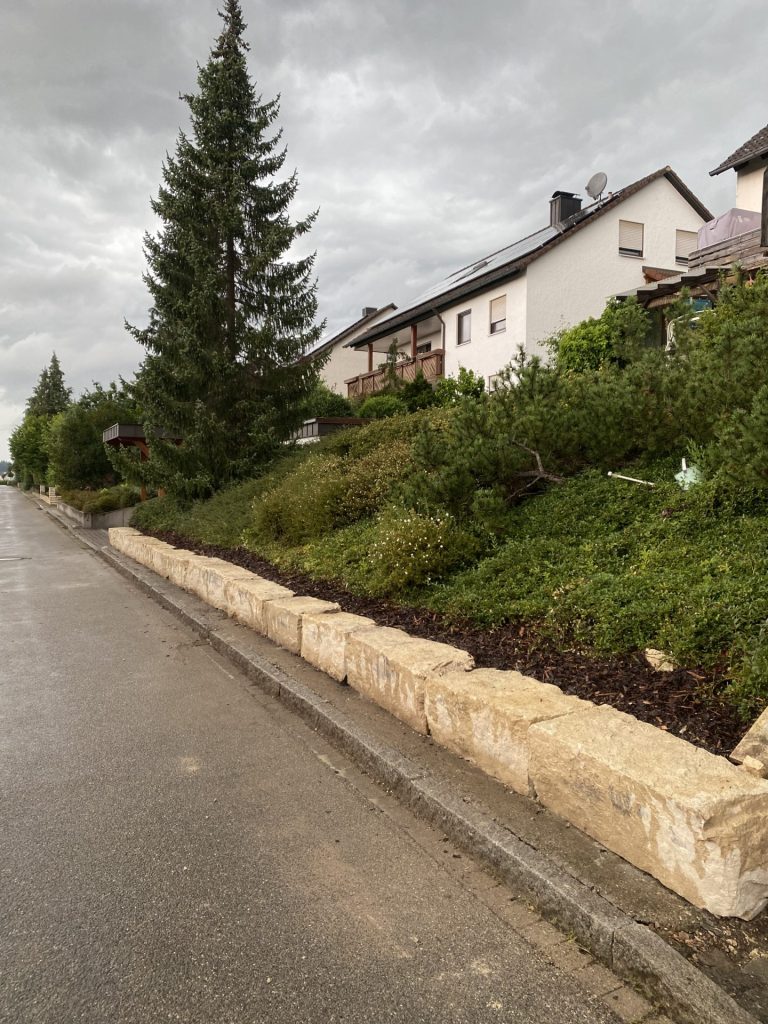 Bäume an einer Straßenkante