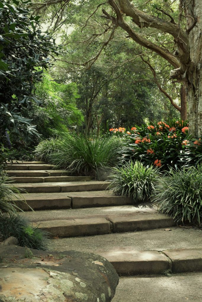 eine Steintreppe mit Pflanzen und Bäumen